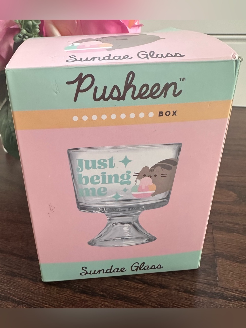 NWT Pusheen “Just Being Me” sundae glass